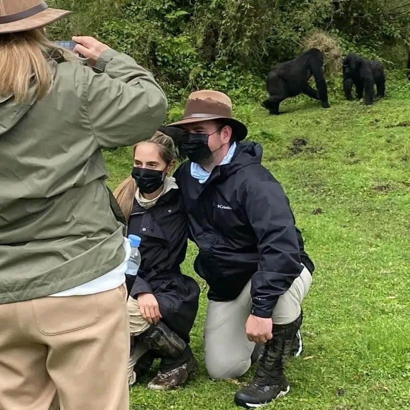 Rwanda vs Uganda: Where Should You Go Gorilla Trekking?