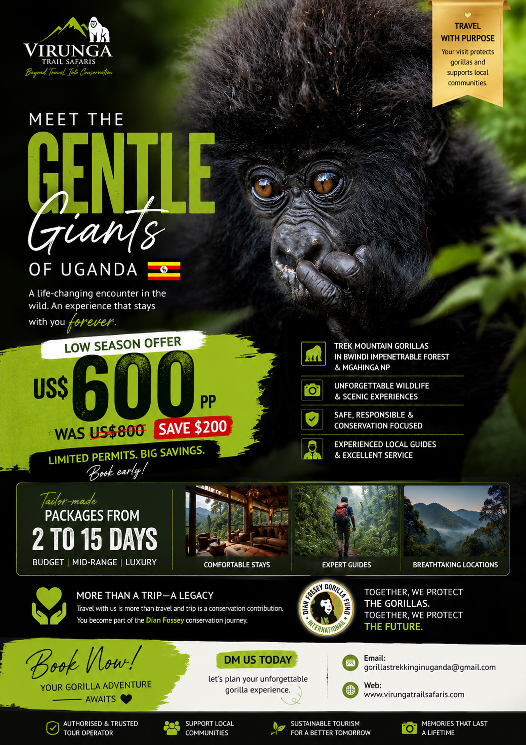 Gorilla Trekking