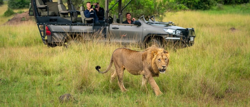 3-Day Akagera National Park Safari