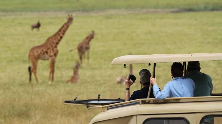 1-Day Akagera Safari Trip