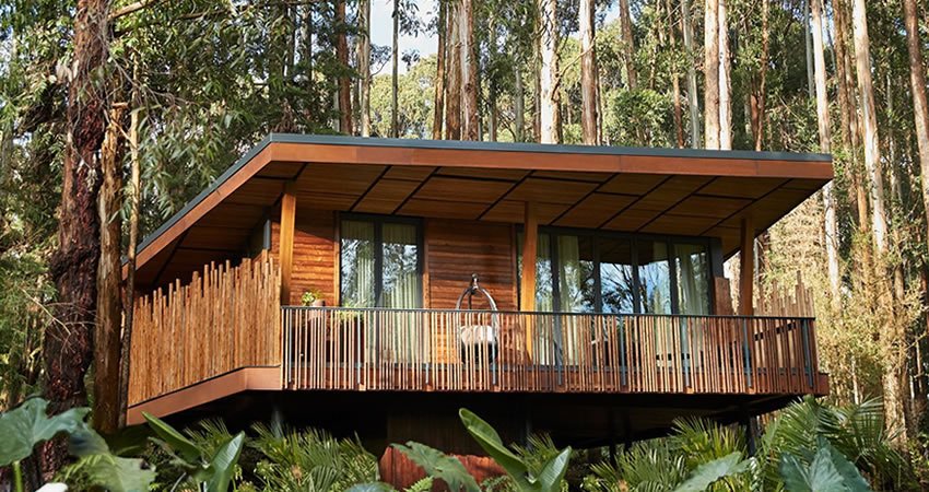 10-Day Rwanda Luxury Lifetime Experience