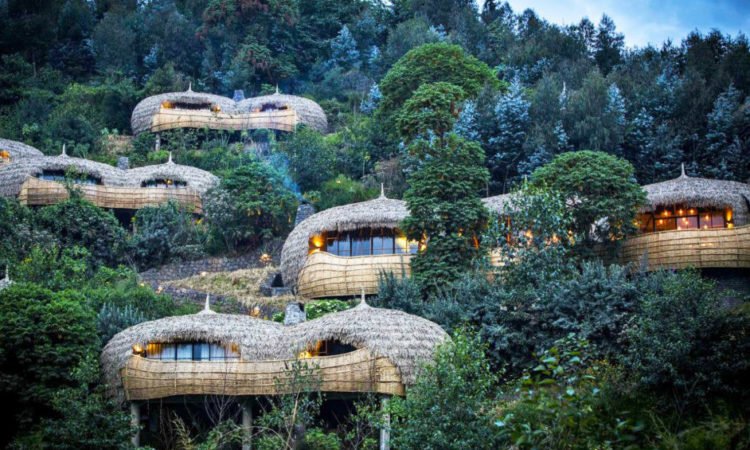 7-Day Luxury Rwanda Safari