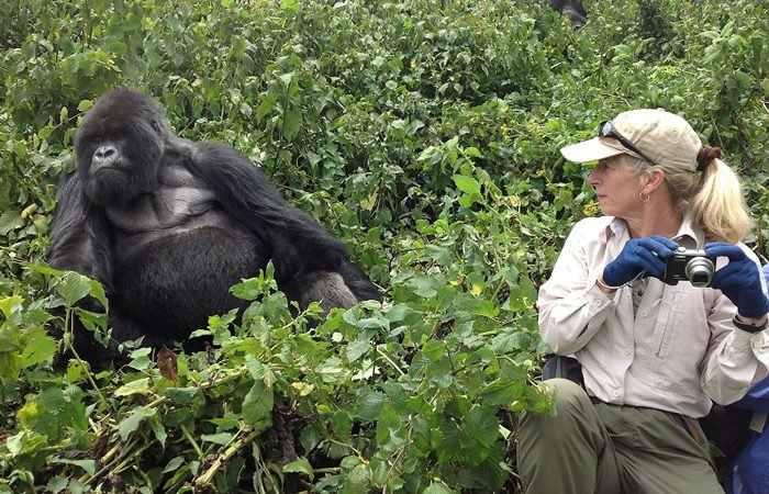 6-Day-Habituated gorillas trekking in Uganda