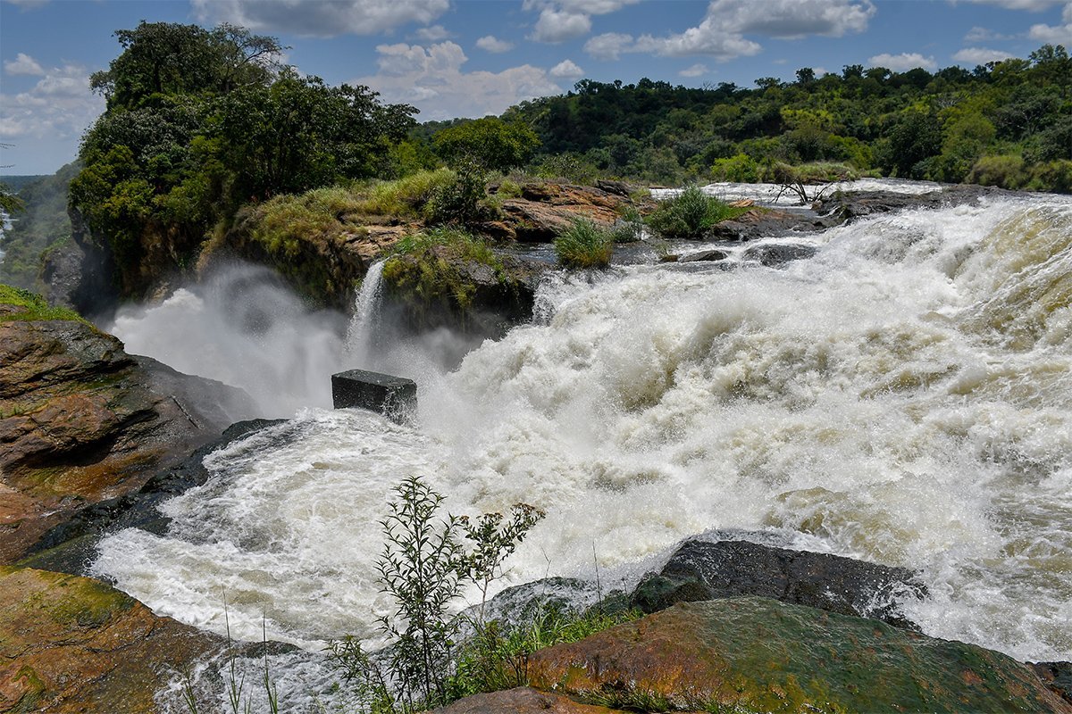 4-Day Murchison Falls & Chimpanzee Trekking